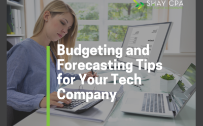 Budgeting and Forecasting Tips for Your Tech Company