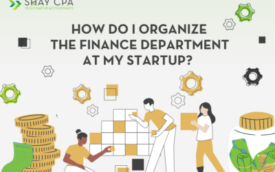 How Do I Organize the Finance Department at my Startup?